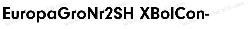 EuropaGroNr2SH XBolCon字体转换